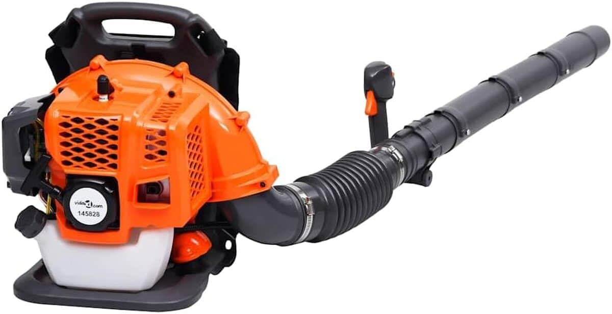 Test du souffleur à feuilles vidaXL 42, 7 CC : puissance et polyvalence