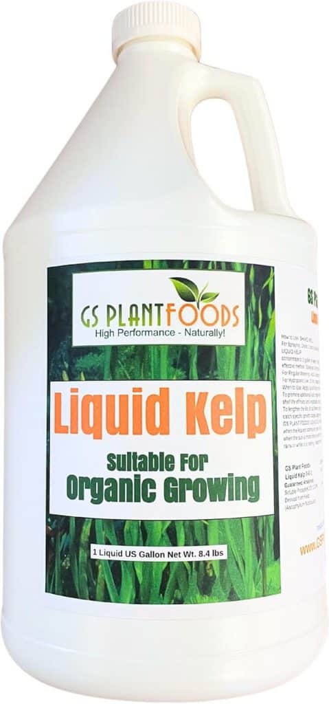 Test de l'engrais organique GS Plant Foods : algues de varech liquide 1 gallon