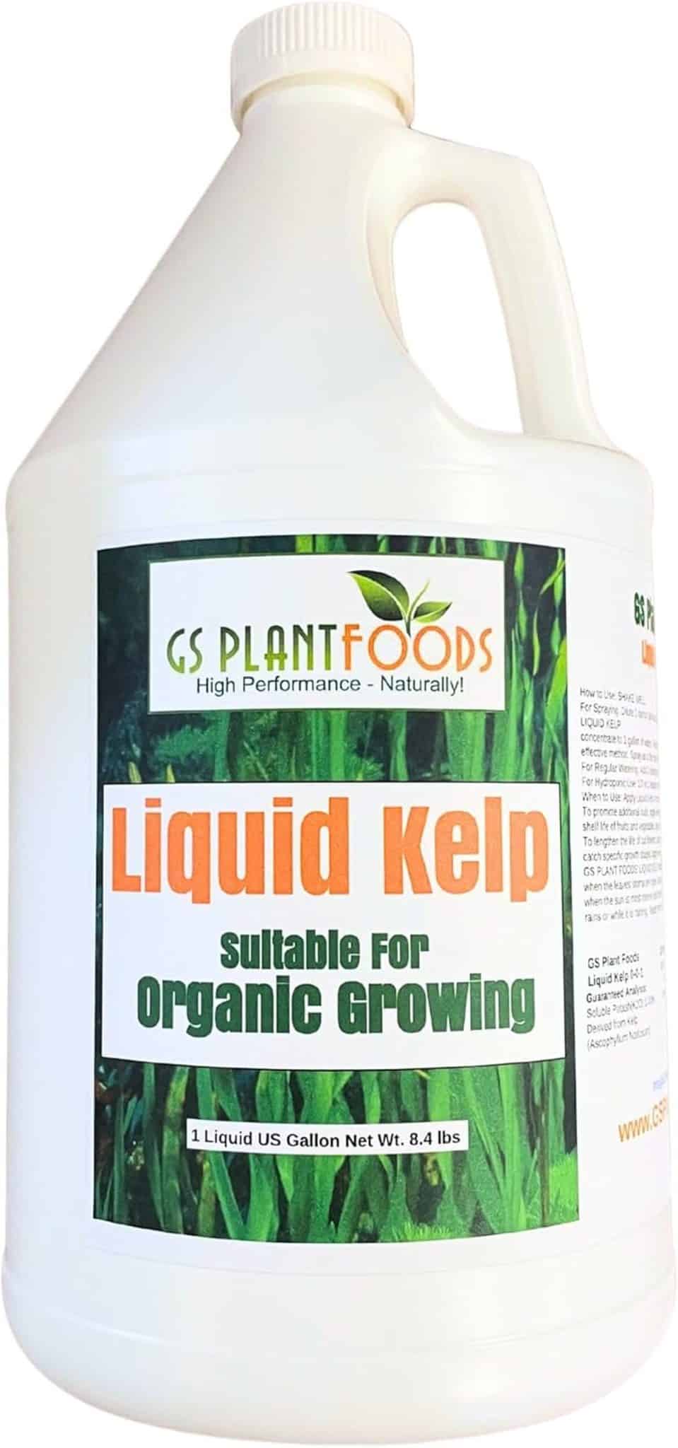 Test de l'engrais organique GS Plant Foods : algues de varech liquide 1 gallon