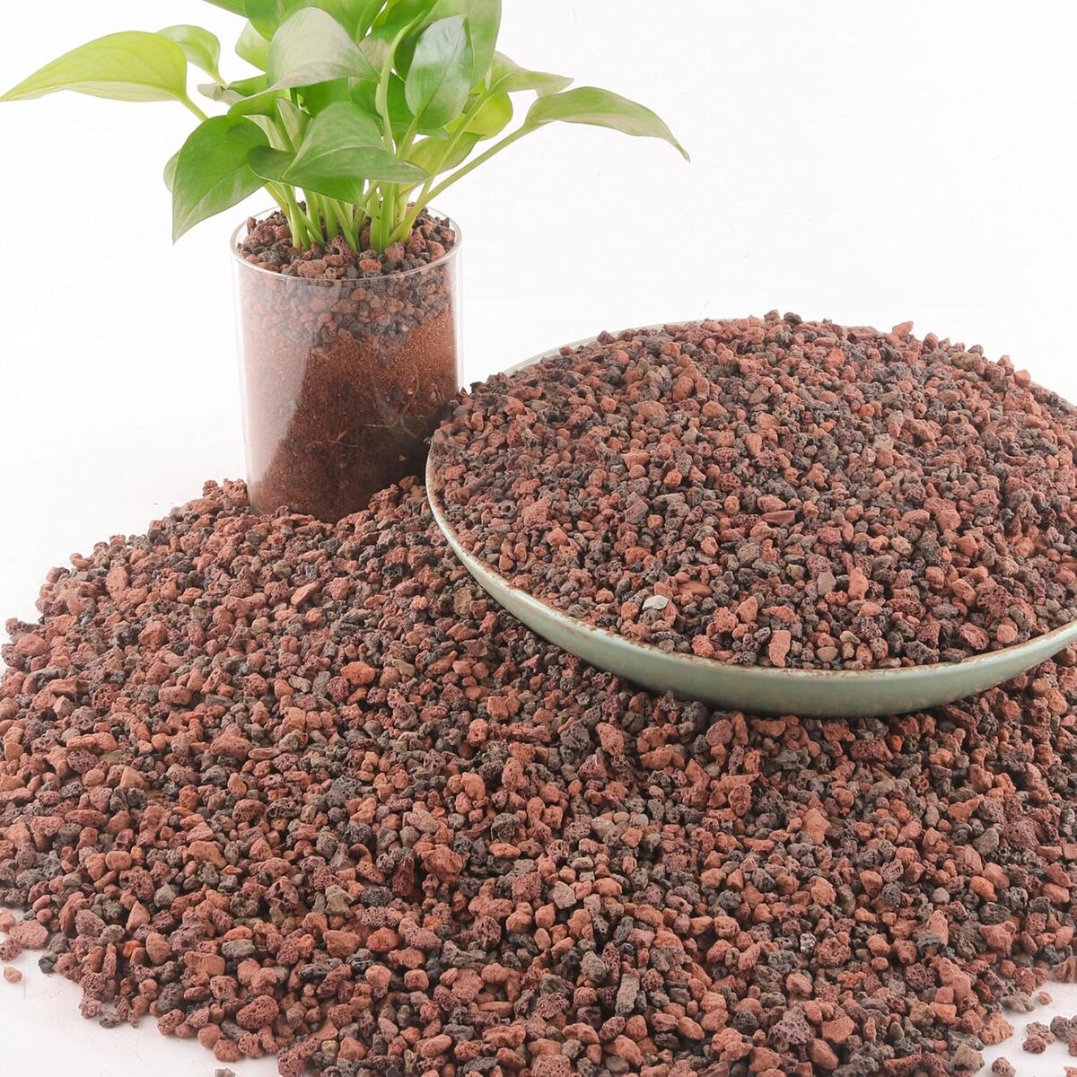 Test du gravier volcanique 3, 2 kg pour plante