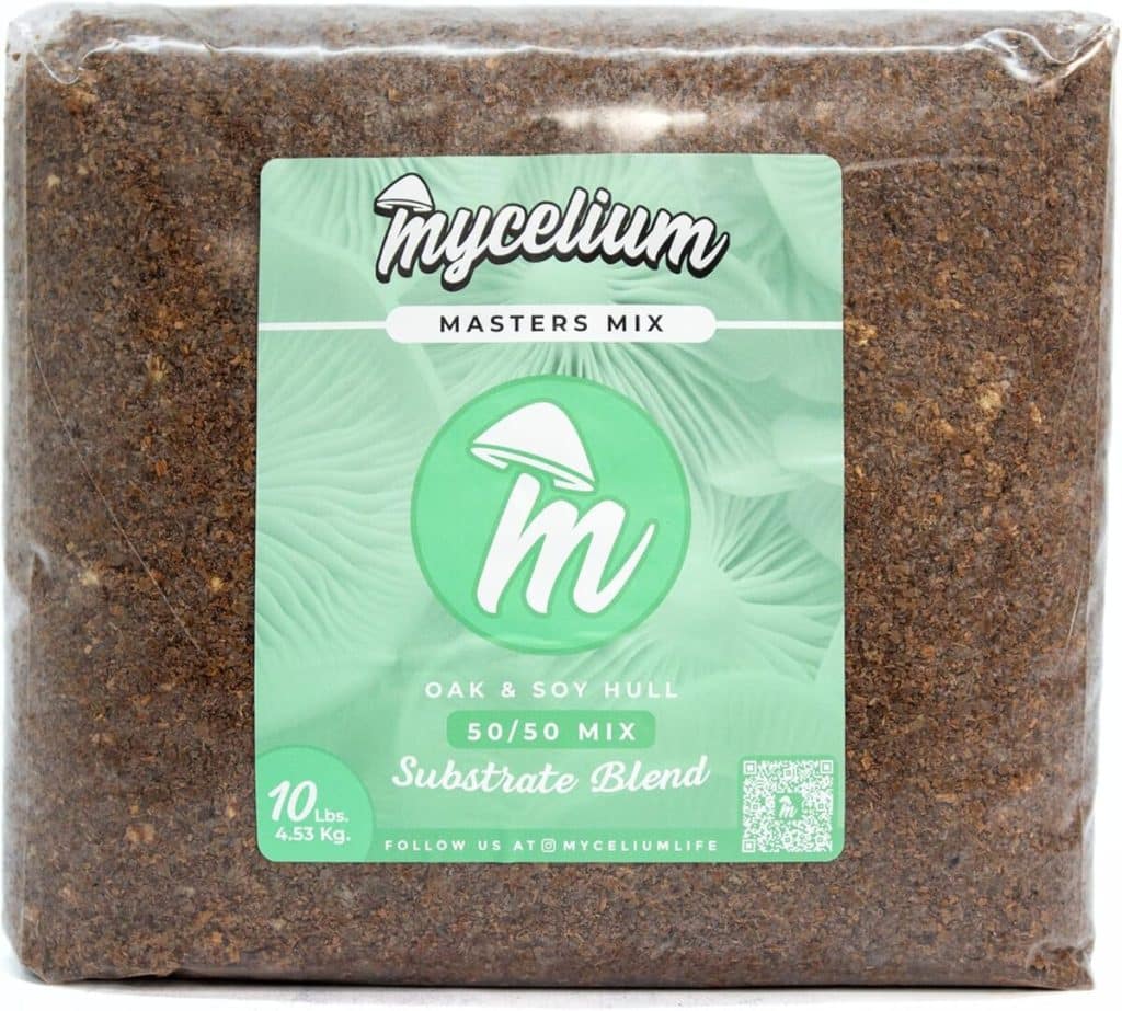 Test du kit Mycelium Master : culture de champignons simplifiée