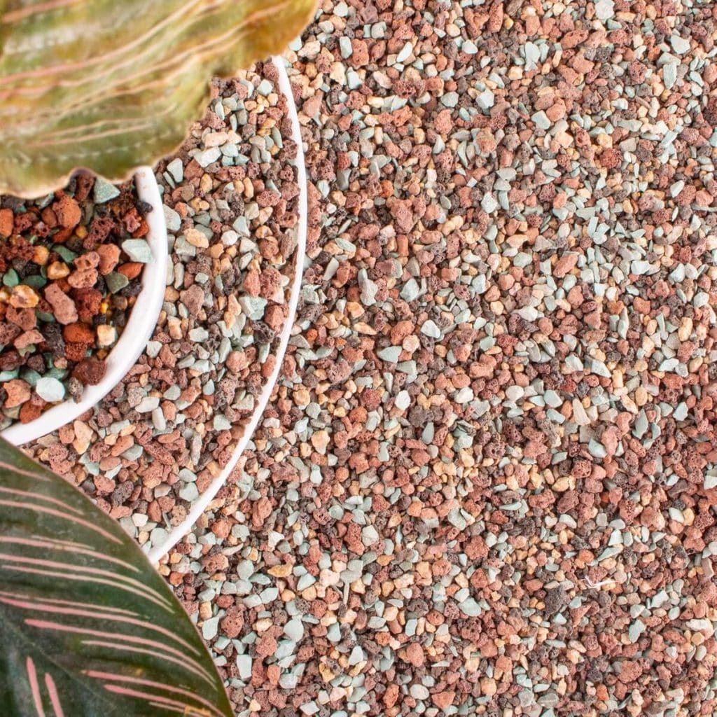 Test du mélange de pierres de lave pour plantes