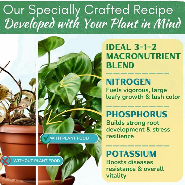 Nourriture pour plantes d'intérieur