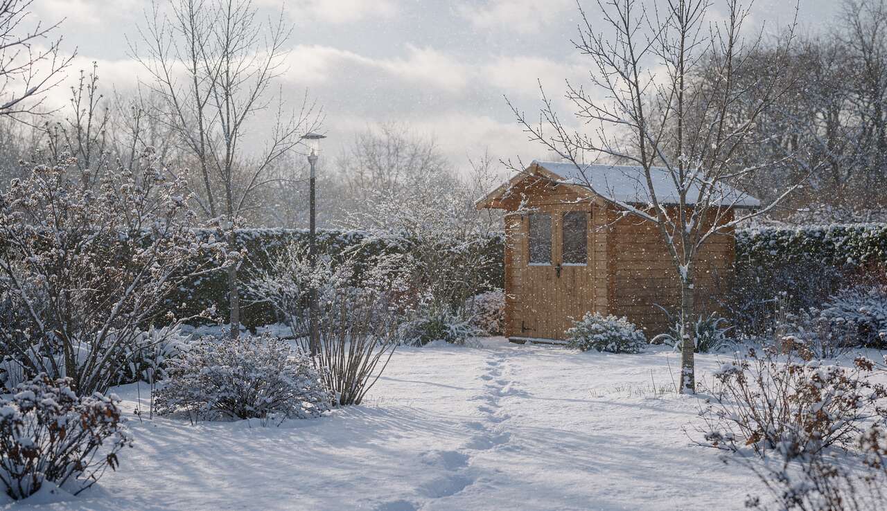 Hiver au jardin : conseils et astuces