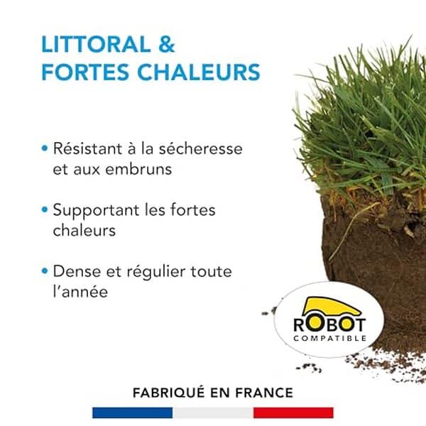 Découvrez l'efficacité du gazon Littoral de Barenbrug dans les conditions de sécheresse. Résistance, entretien et résultats : notre analyse complète pour un espace vert durable et esthétique.