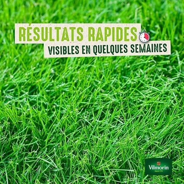Découvrez notre test détaillé du gazon rustique Vilmorin 4460418 : performances, qualité, conseils d'entretien pour un jardin verdoyant et résistant.