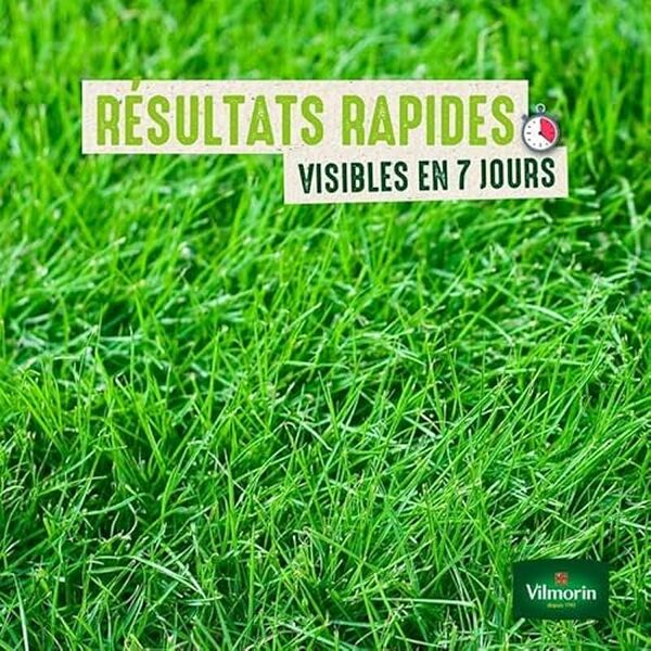 Découvrez comment le gazon Vilmorin 4460717 transforme votre pelouse en 7 jours avec seulement 10 kg de semences. Idéal pour un jardin verdoyant rapidement.
