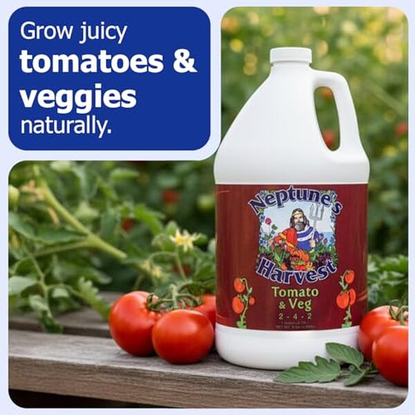 Découvrez comment l'engrais Neptune Tv191 peut transformer vos tomates et légumes en augmentant leur croissance et leur rendement