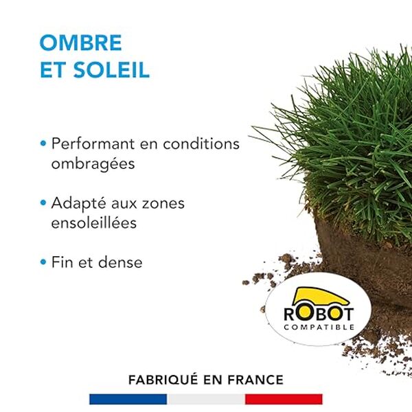 Découvrez notre test du gazon BARENBRUG, idéal pour les zones ombragées et ensoleillées. Performances, astuces et conseils pour un jardin verdoyant.