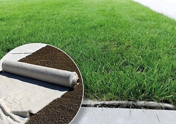 Découvrez notre test complet sur l'easygreen Wollrasen, une alternative biodégradable au gazon en rouleau, respectueuse de l'environnement et facile à installer.