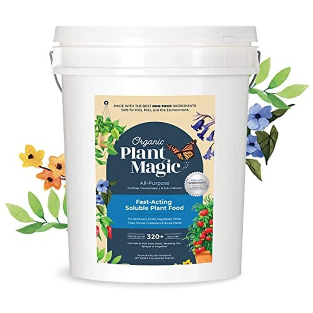 Test : bio plante magique Instant Compost à thé, engrais 100% bio