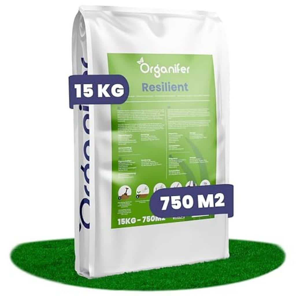 Test des graines Organifer : restauration rapide de pelouse