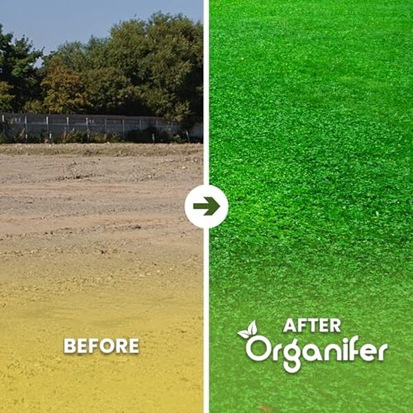 découvrez comment le micro trèfle Organifer transforme votre pelouse en un espace vert dense et durable. conseils et astuces pour une pelouse parfaite.