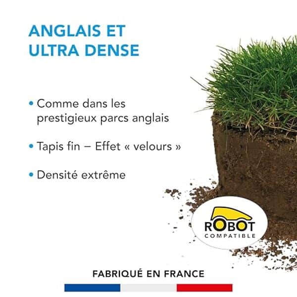 Découvrez le gazon anglais BARENBRUG, un gazon ultra dense offrant un aspect prestigieux avec une tonte minimale. Test complet et conseils d'installation. 
