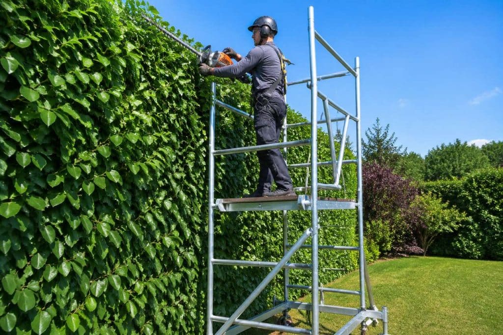 Tailler une haie en toute sécurité avec un échafaudage de jardin