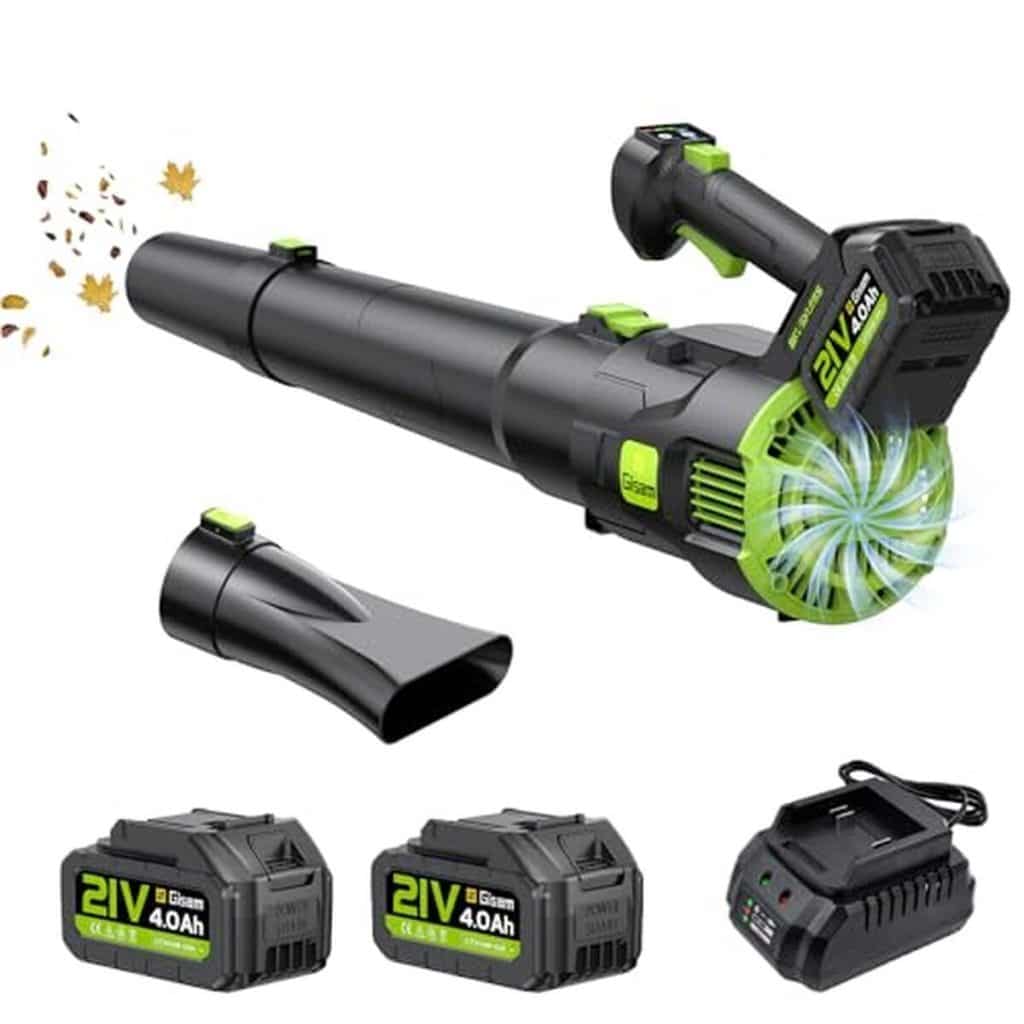 Test du souffleur à batterie Gisam : puissance et polyvalence pour votre jardin